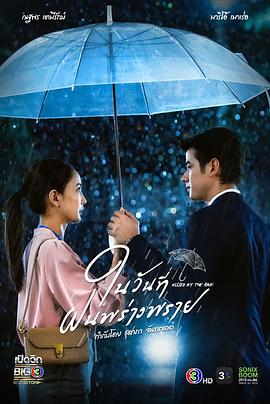 雨后的故事 视频